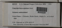 Image Associated With the Occurence